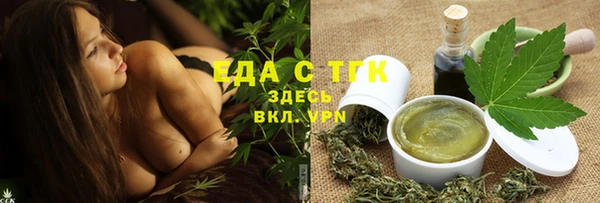 индика Зеленокумск