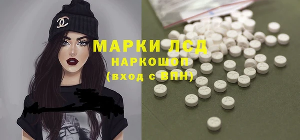 индика Зеленокумск