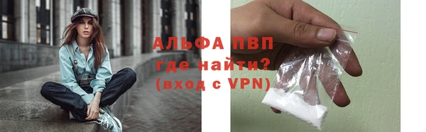 индика Зеленокумск