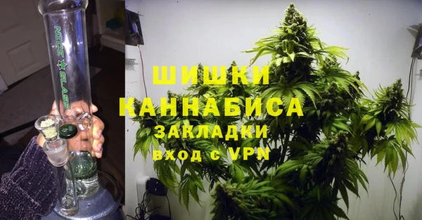 индика Зеленокумск