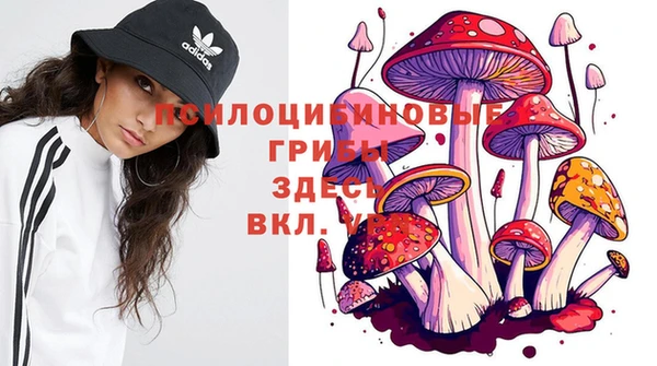 молекула духа Зеленодольск