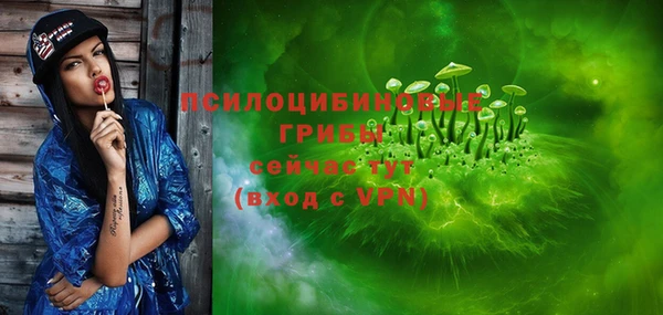 индика Зеленокумск
