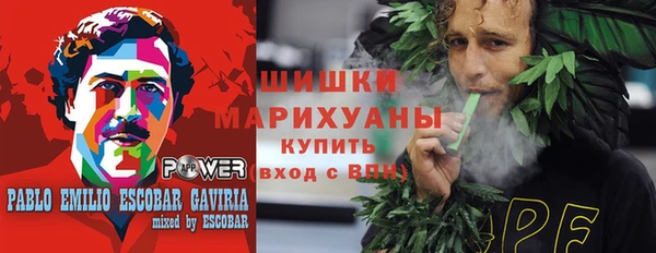 индика Зеленокумск