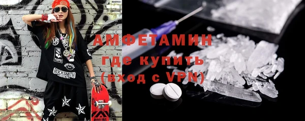 индика Зеленокумск