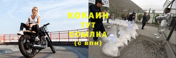 индика Зеленокумск