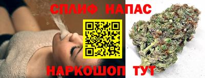 гашик Будённовск