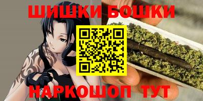 гашик Будённовск