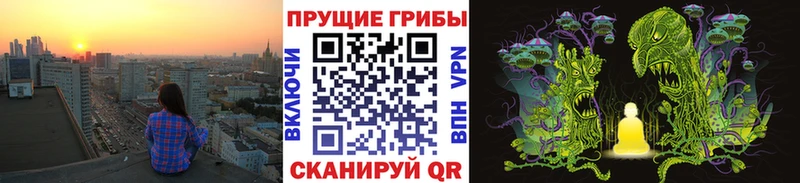 наркотики  Выкса  Псилоцибиновые грибы прущие грибы 