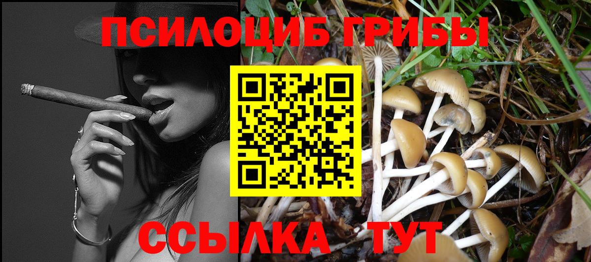 Псилоцибиновые грибы MAGIC MUSHROOMS Выкса