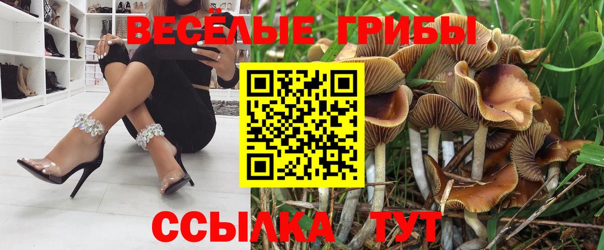 Галлюциногенные грибы Magic Shrooms  Выкса  Галлюциногенные грибы ЛСД 