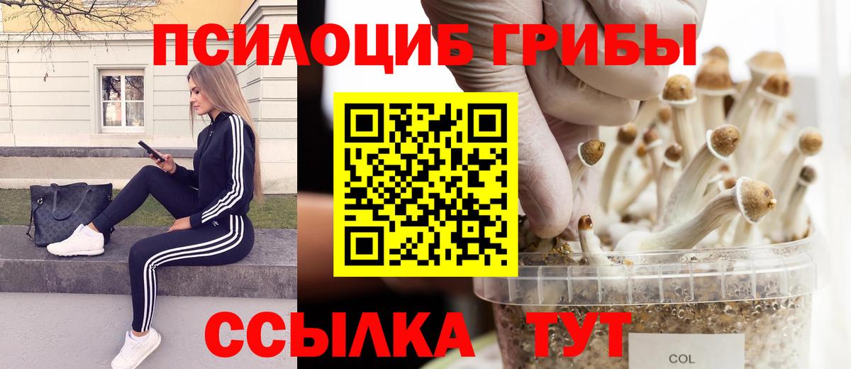 Псилоцибиновые грибы мухоморы Выкса