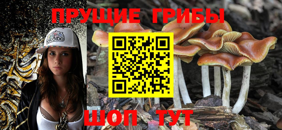 Галлюциногенные грибы мухоморы  Вход с VPN  Выкса 